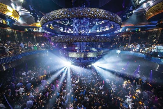 Professional Aluminum Alloy Circle Lighting Electric Lift Truss For Club